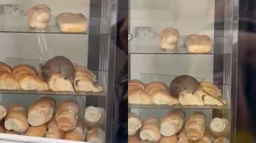 Reprodução/Twitter @licrondamon