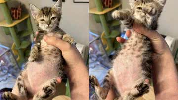 Arquivo pessoal/Haley Andrews