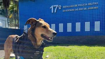 Reprodução/Redes Sociais