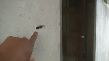 Reprodução/TV Bahia