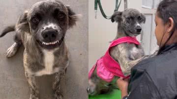 Reprodução/TikTok @fgnico