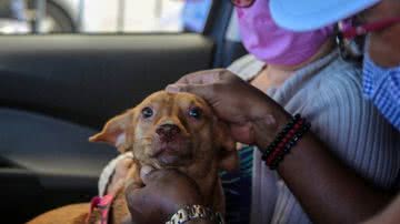 Divulgação/Secom PMS