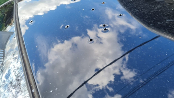 Reprodução Twitter/ @reporterenato