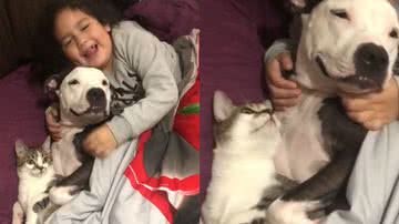 Reprodução/TikTok @patyazevedosilva