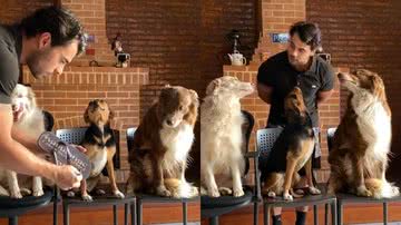 Reprodução/TikTok @leohduarte01