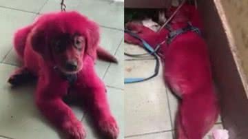 Reprodução/Redes Sociais