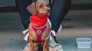 Leo Bahia /Fotoarena/Folhapress