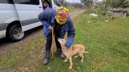 Reprodução/Facebook/K9 Global Rescue