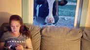 Reprodução/Facebook/ Life With Pigs Farm Animal Sanctuary