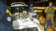 Divulgação / PRF