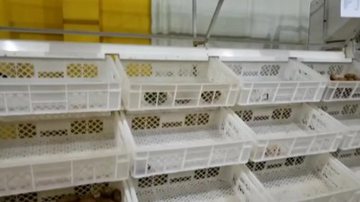 Reprodução/TV Globo