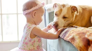 Jill Wellington por Pixabay