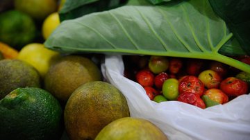 Fernando Frazão/Agência Brasil