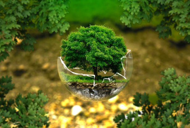 Divulgação / Pixabay