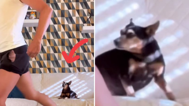 Reprodução / Instagram