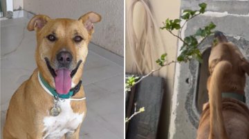 Reprodução / Instagram