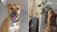 Reprodução / Instagram