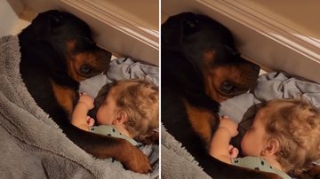 Reprodução / TikTok