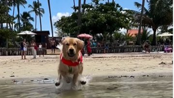 Reprodução/RedesSociais