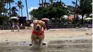 Reprodução/RedesSociais