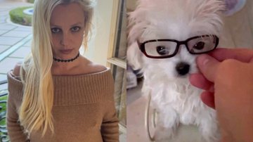 Reprodução/Instagram @britneyspears