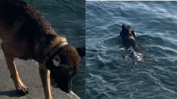 Reprodução/ Instagram