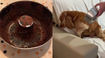 Reprodução/TikTok @chyntiaadriane