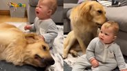 Reprodução/YouTube @lifewithmalamutes