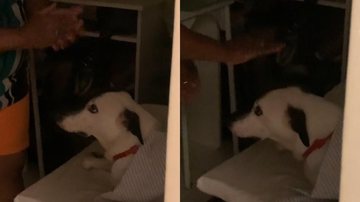 Reprodução/TikTok @clararjs1