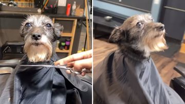 Reprodução / Instagram