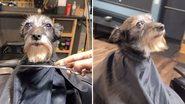 Reprodução / Instagram