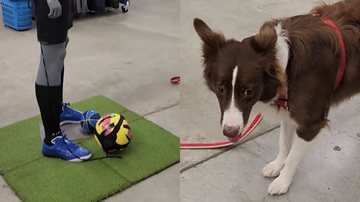 Reprodução/TikTok @nandanevesramos