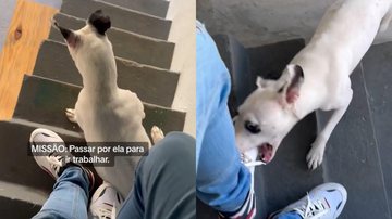 Reprodução/TikTok @gel_santoss