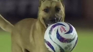 Reprodução/ Redes Sociais