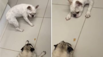 Reprodução / Instagram