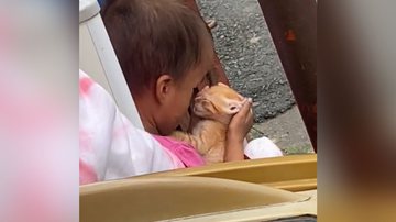Imagem Alera fofurômetro! Cena de criança e gato viraliza e comove web; assista