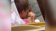 Imagem Alera fofurômetro! Cena de criança e gato viraliza e comove web; assista