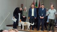 Reprodução/RedesSociais