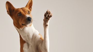 Ilustrativa / FreePik