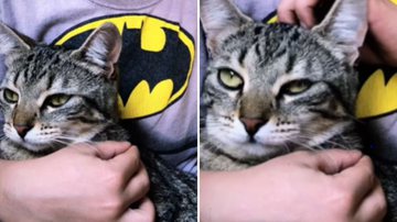 Reprodução / Instagram