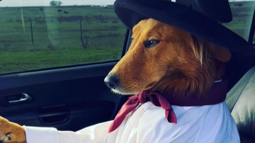 Reprodução / Instagram