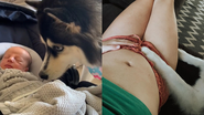 Imagem Cadela husky siberiano reage de forma comovente em primeiro contato com bebê de tutota