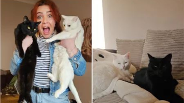 Imagem Ciúme animal? Vídeo de gato ciumento com dona viraliza nas redes; assista