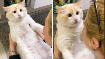 Reprodução / TikTok