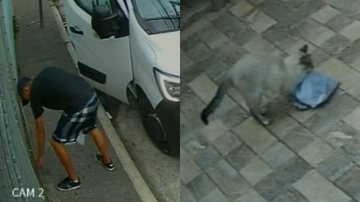 Reprodução/TikTok @flvia.monteiro70