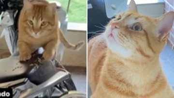 Reprodução / Instagram