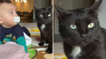 Reprodução / Instagram