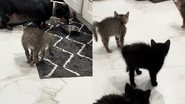 Reprodução/TikTok @misty_liketheweather