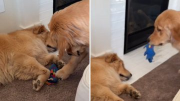 Reprodução / TikTok