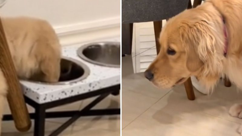 Reprodução / TikTok